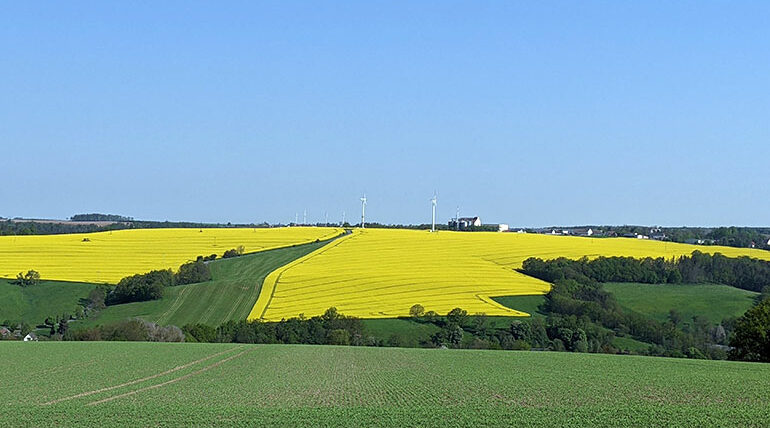 Agrargenossenschaft Elstertal Markersdorf Hoffest