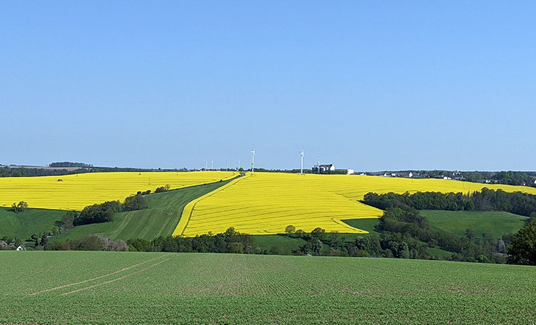 Agrargenossenschaft Elstertal Markersdorf Hoffest