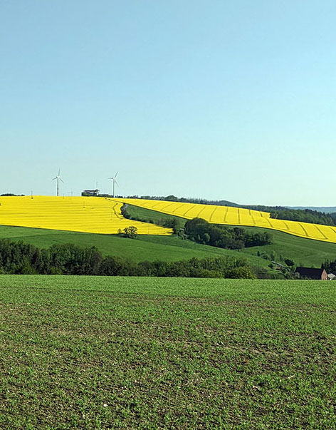 Agrargenossenschaft Elstertal Markersdorf Pacht & Land